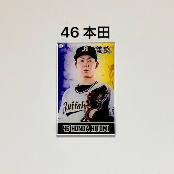 オリックス バファローズ コロチャレ アクリルカード(46 本田仁海)ボールチェーンなし コロコロチャレンジ