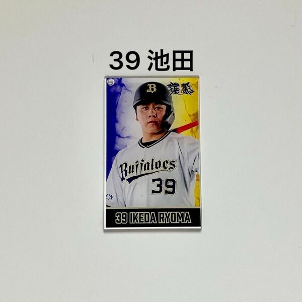 オリックス バファローズ コロチャレ アクリルカード(39 池田陵真)ボールチェーンなし コロコロチャレンジ