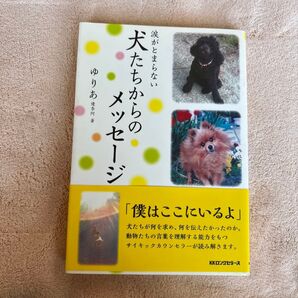 涙がとまらない犬たちからのメッセージ ゆりあ/著