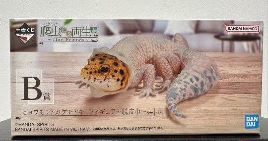 一番くじ 爬虫類&両生類 B賞 ヒョウモントカゲモドキ フィギュア〜脱皮中〜
