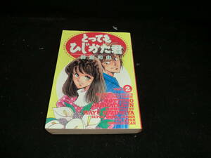 とってもひじかた君 vol.2 打闘、芹沢鴨!! (スーパー・ビジュアル・コミックス) 鈴宮 和由 19485