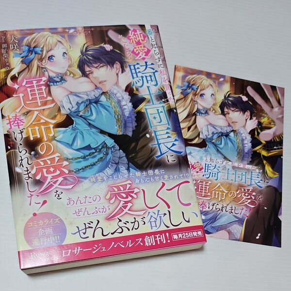 番と知らずに私を買った純愛こじらせ騎士団長に運命の愛を捧げられました! (Rosage Novels) 犬咲/著