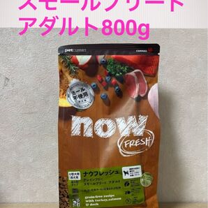 NOW FRESH グレインフリースモールブリード アダルト 800g