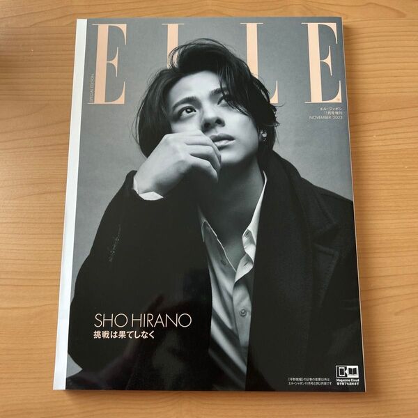 ELLE JAPON エル・ジャポン 11月号増刊 平野紫耀