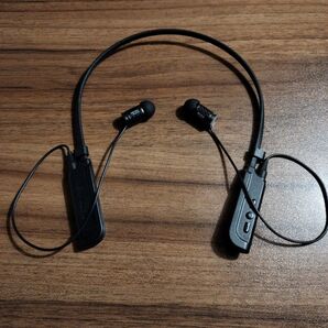 ZERO AUDIO CARBO BASSO WIRELESS バッソワイヤレス
