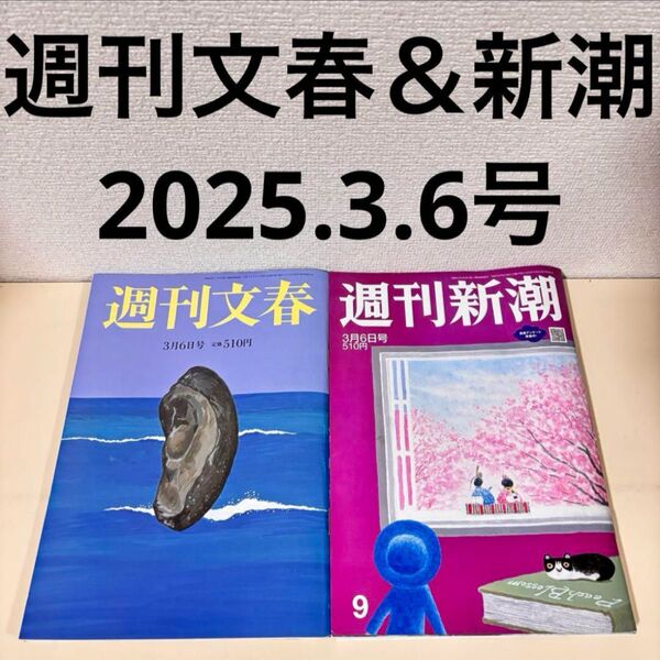 週刊文春 週刊新潮 2025年 3月6日 3/6 3.6 セット まとめ売り 本 吉柳咲良 柴犬 バックナンバー 中居正広