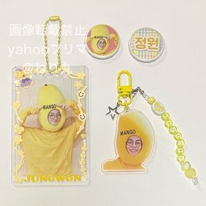 韓国製作者 ENHYPEN エンハイプン エナイプン ジョンウォン トレカケース トレカホルダー アクリルキーホルダー セット
