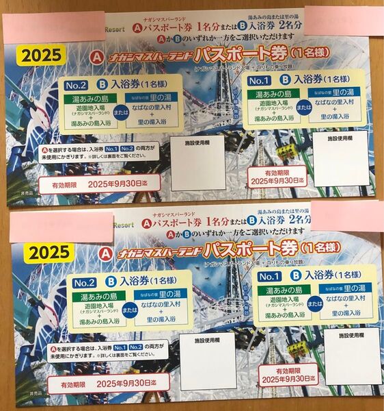 ナガシマスパーランド パスポート券2枚