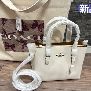COACH ホワイトレザーバケットバッグ ホワイト 新品 福袋
