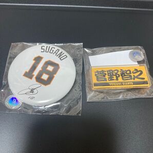 プレーヤーズアクリルバッジオレンジ×ブラック、缶バッジ菅野智之
