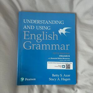 Understanding and Using English Grammar Fifth Edition Volume B