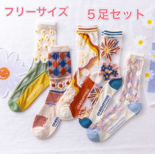 【新品】韓国 ソックス シースルー 靴下 セット まとめ売り 5足セット