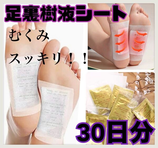 樹液シート60枚 健康 足裏疲れ 足裏ケアむくみ足の疲れフットケア 貼るだけ 足裏樹液シート むくみ 個包装 旅行 ストレス 疲れ