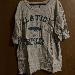 ELATION Tシャツ グレー PERFECT SKY CONDITIONS