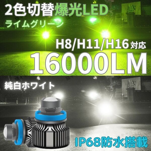 爆光LED 高輝度 レーザー発光 フォグランプ 2色切替 H8 H11 H16 汎用 ホワイト ライムグリーン 16000lm