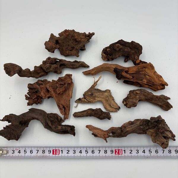 8 洗浄済み 流木 SSサイズ まとめ売り アクアリウム 観賞魚