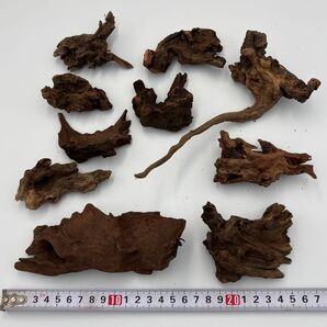 ⑦ 洗浄済み 流木 SSサイズ まとめ売り アクアリウム 観賞魚 テラリウム