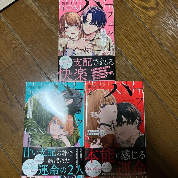 パーフェクト・ドミネーション 1~3巻