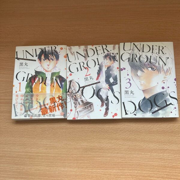 UNDERGROUN'DOGS コミック 1-3巻セット (ビッグコミックス) 黒丸