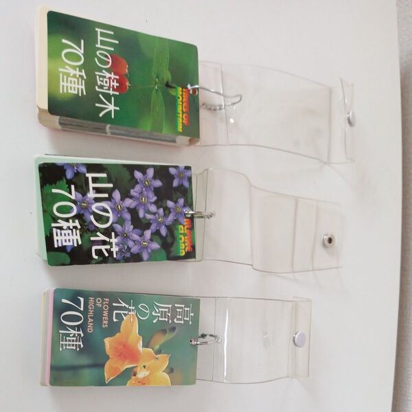山の植物図鑑3冊セット