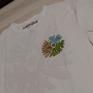 JOURNALSTANDARDrelume レリューム レリウムCritical Slide Tシャツ メンズ Mサイズ ホワイト