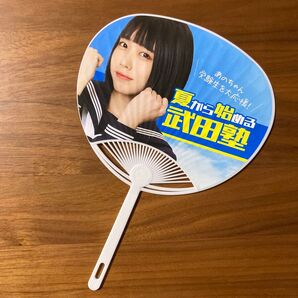 あのちゃん ミニうちわ 武田塾