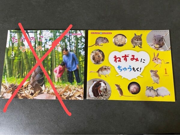 サンチャイルドビッグサイエンス 絵本 チャイルド本社福音館書店 ねずみ