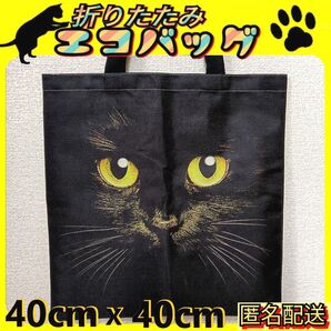 黒猫フェイス【トートバッグ】折りたたみ エコバッグ 匿名配送 24時間以内発送 猫 ねこ サブバッグ ショッピング 補助バッグ