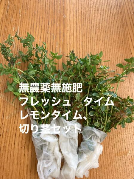 無農薬無施肥 フレッシュ タイム レモンタイム、切り茎セット