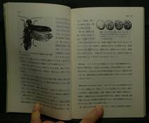 【超希少】【新品並美品】古本　ゲンジボタル　日本の昆虫　１２　日本図書館協会選定図書　著者：大場信義　（株）文一総合出版_画像7