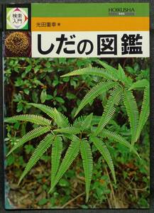 【超希少】【美品】古本　検索入門　しだの図鑑　著者：光田重幸　（株）保育社