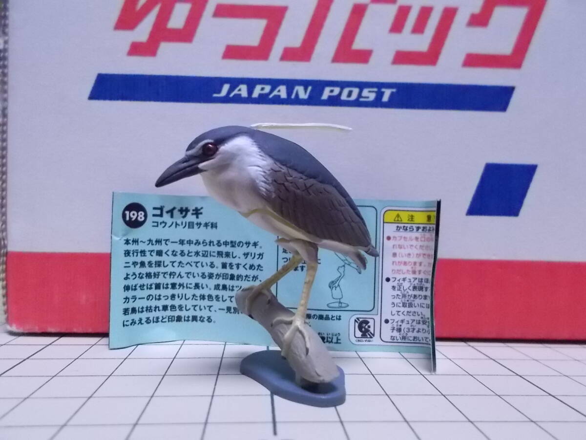 2025年最新】Yahoo!オークション - 日本の動物コレクション 2025年最新】Yahoo!オークション - 日本の動物コレクション