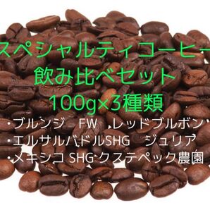 【注文後焙煎】スペシャルティコーヒー豆飲み比べセット(100g×3種類)