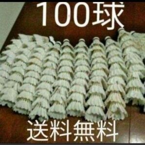 野球 練習用 ノット シャトル 100球