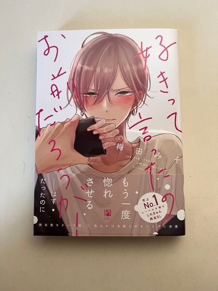 好きって言ったのお前だろうが! 梅田みそ BL