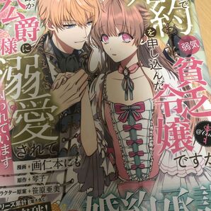 成り行きで婚約を申し込んだ弱気貧乏令嬢ですが、何故か次期公爵様に溺愛されて囚われています