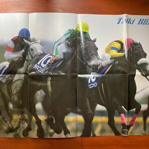 タイキブリザード ヒシアマゾン 両面ポスター 表裏 サラブレ 競馬 雑誌 付録