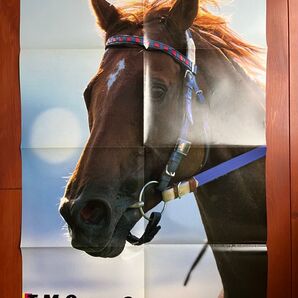 テイエムオペラオー クロフネ 両面ポスター 表裏 競馬 サラブレ 雑誌 付録