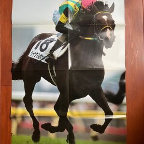 ジャングルポケット ポスター 日本ダービー 競馬 サラブレ 雑誌 付録
