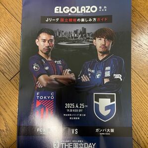 明治安田J1リーグ第12節 FC東京 ガンバ大阪 THE国立DAY ELGOLAZO 号外番外編 Jリーグ国立観戦の楽しみ方ガイド