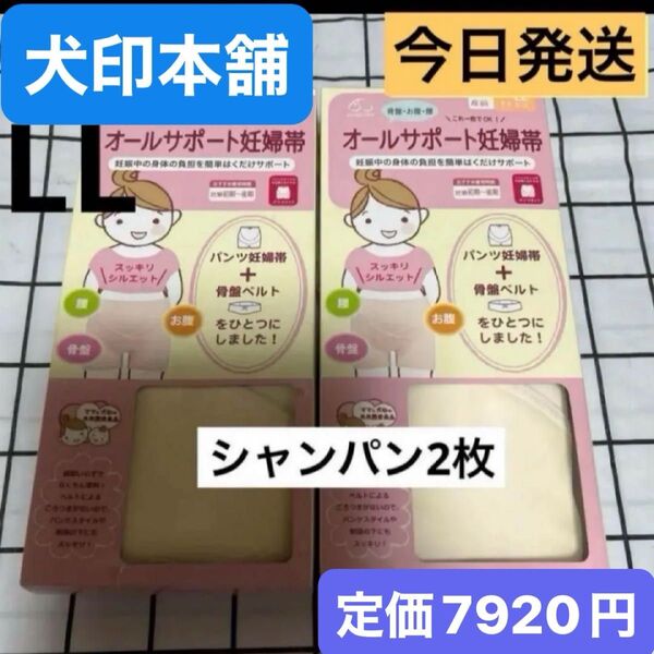 犬印 オールサポート妊婦帯 新品 シャンパン LLサイズ 2枚セット 犬印本舗 パンツ妊婦帯 腹帯 犬印妊婦帯