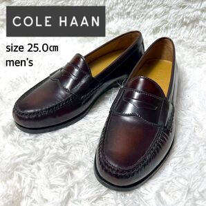 【極美品】COLE HAAN NIKE AIR レザーコインローファー メンズ ヴァーガンディー サイズ7 25cm