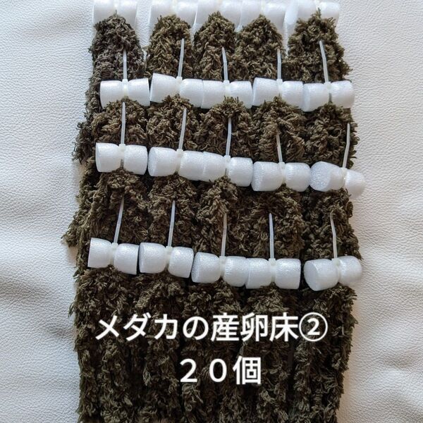 メダカの産卵床 20個 ②