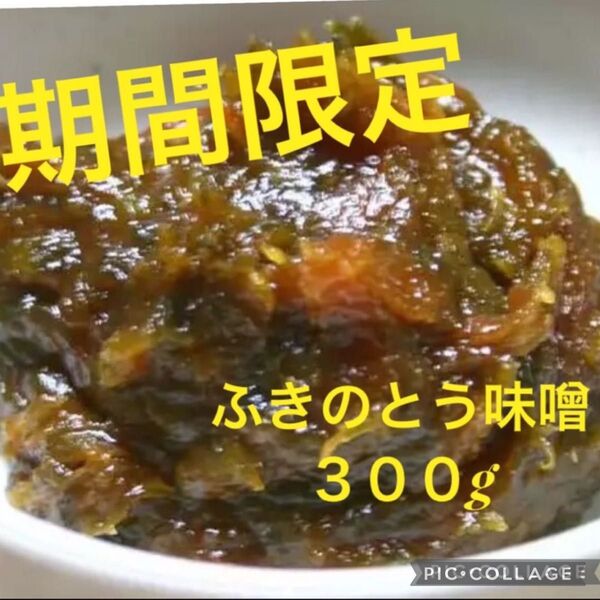 【期間限定出品】京都ふきのとう味噌300グラム