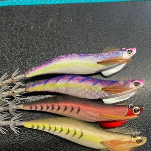 ティップランエギ バレーヒル