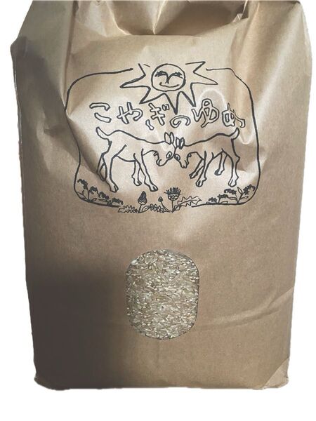 群馬県産 無農薬玄米 古米 令和4年産 9.3kg 有機肥料 天日干し