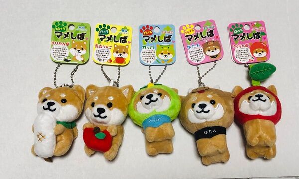 旅するマメしば ぬいぐるみマスコット 5個セット