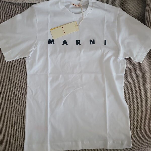 人気★MARNI ロゴTシャツ 14Y M~L相当 新品未使用