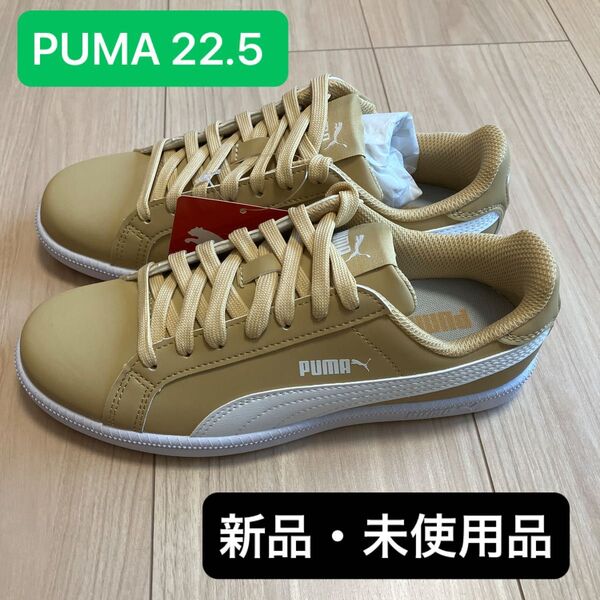 PUMA スマッシュバック 22.5cm ベージュ