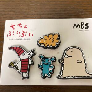 【希少品】ちちんぷいぷい 記念品 MBS アランジアロンゾ ぷいぷいさん
